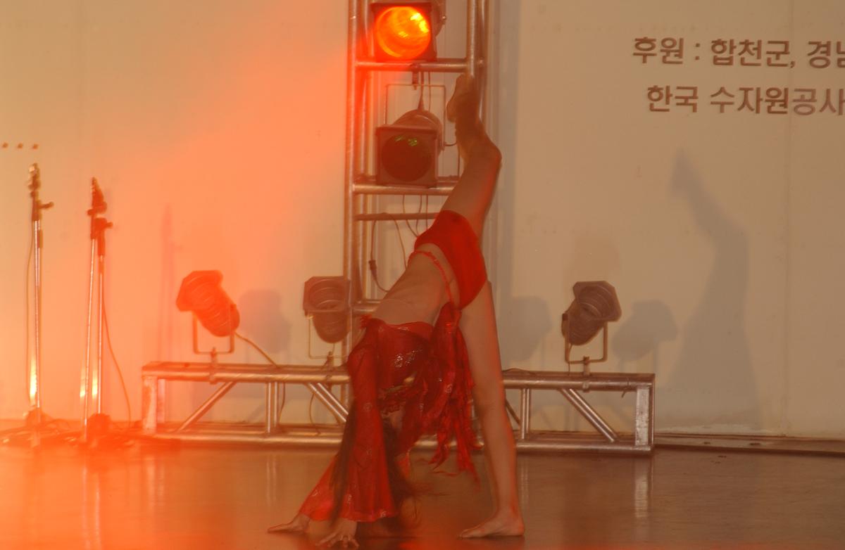 2005합천예술제8