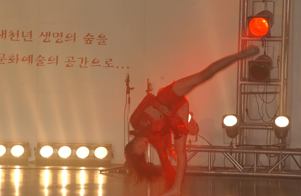 2005합천예술제8