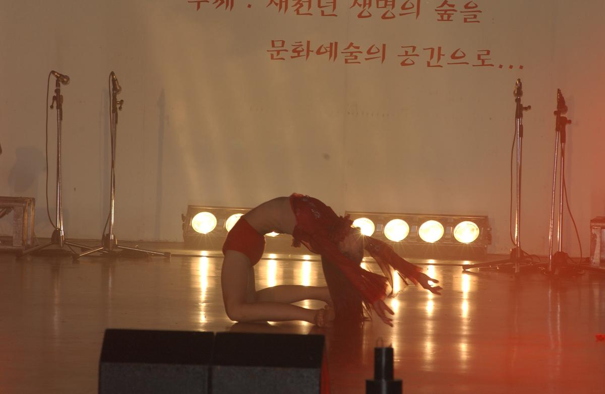2005합천예술제8