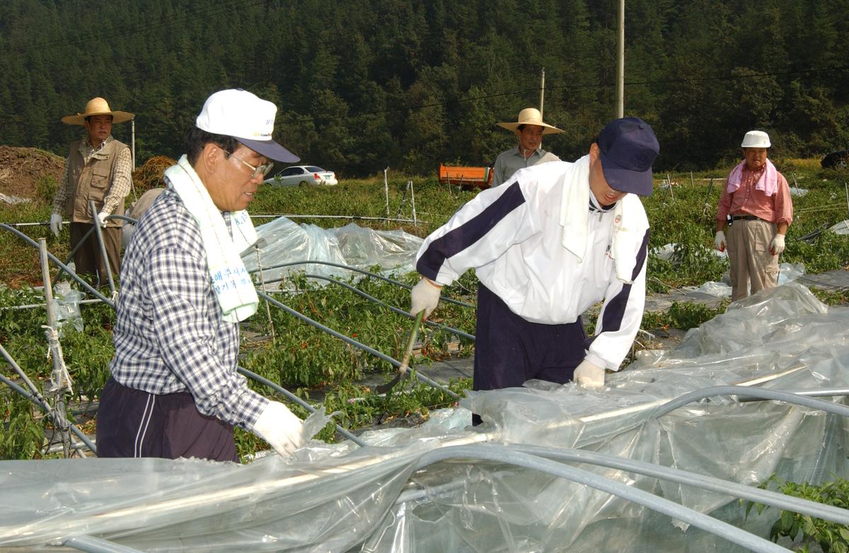 의회수해복구