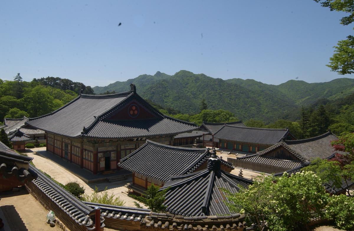 2005판전자료-2