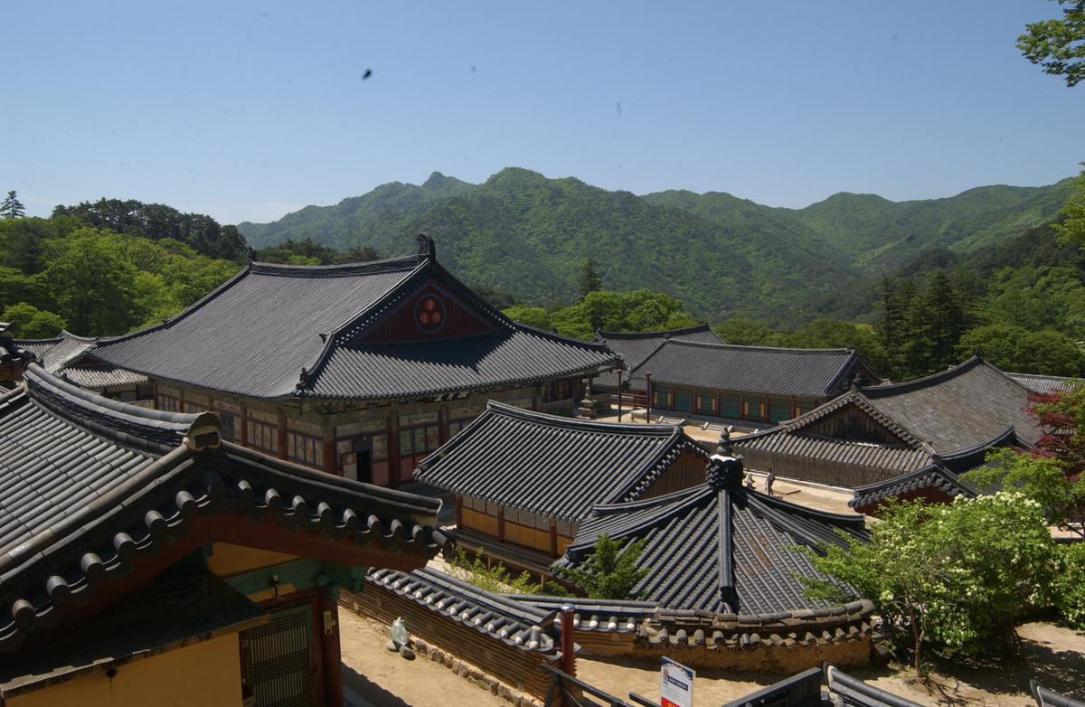 2005판전자료-2