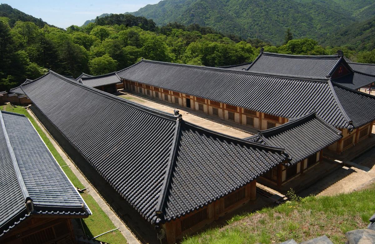 2005판전자료-2