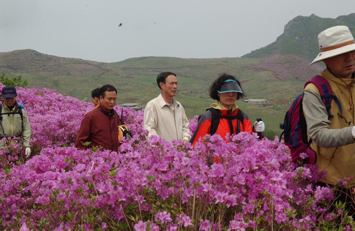 2005황매산철쭉 -1