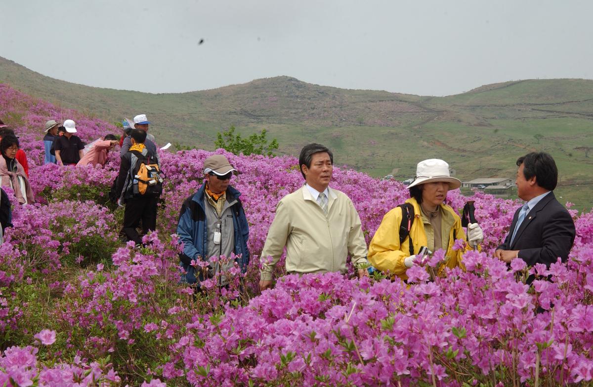 2005황매산철쭉 -1