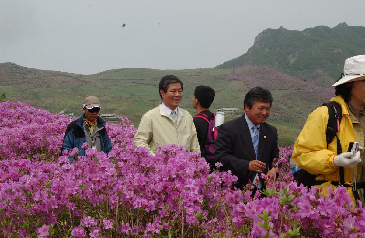 2005황매산철쭉 -1