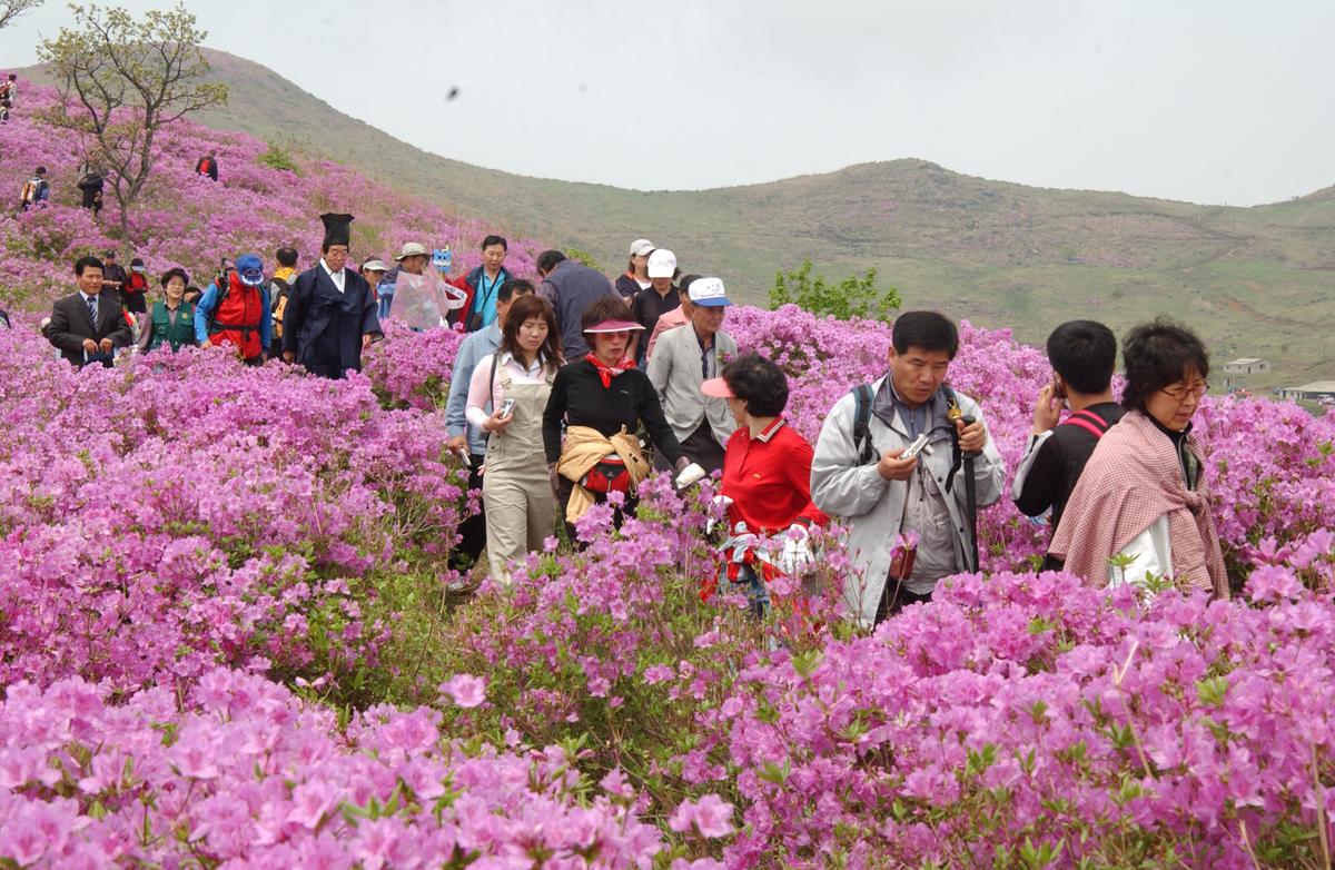 2005황매산철쭉 -1