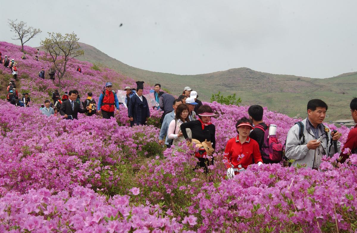 2005황매산철쭉 -1