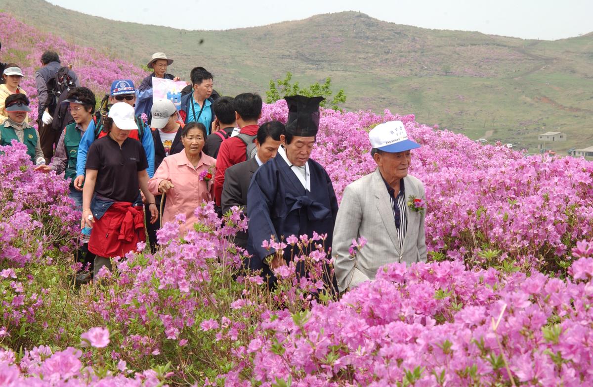 2005황매산철쭉 -1
