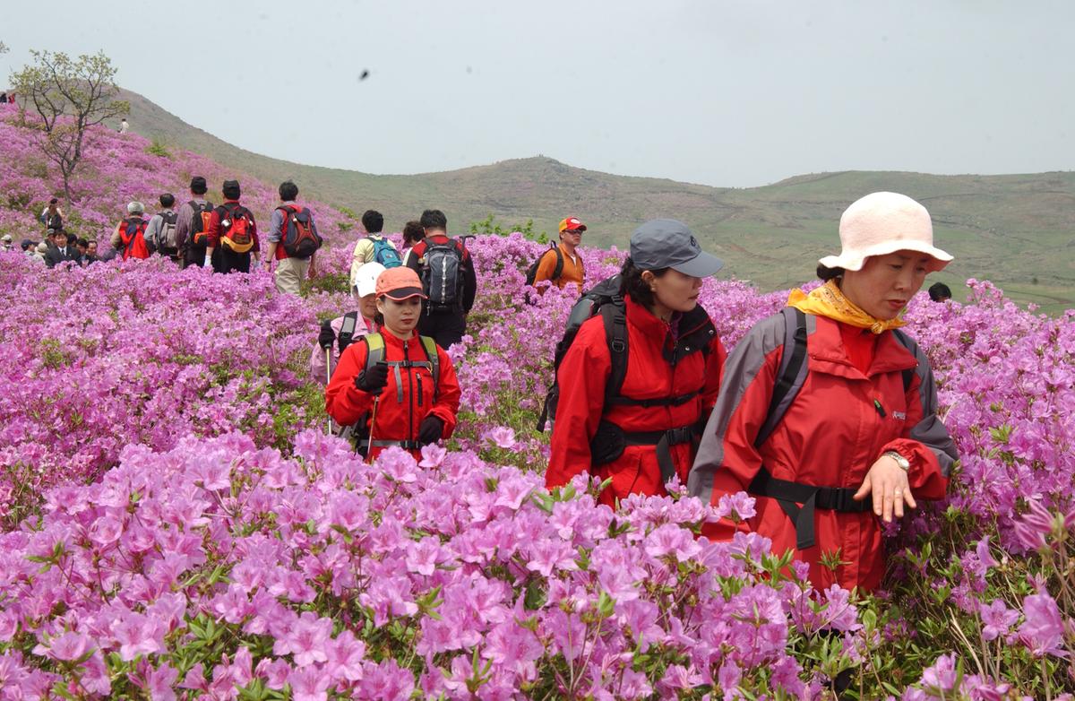 2005황매산철쭉 -1