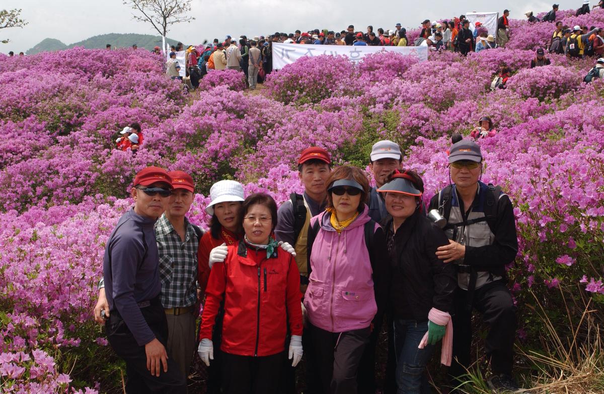 2005황매산철쭉 -1