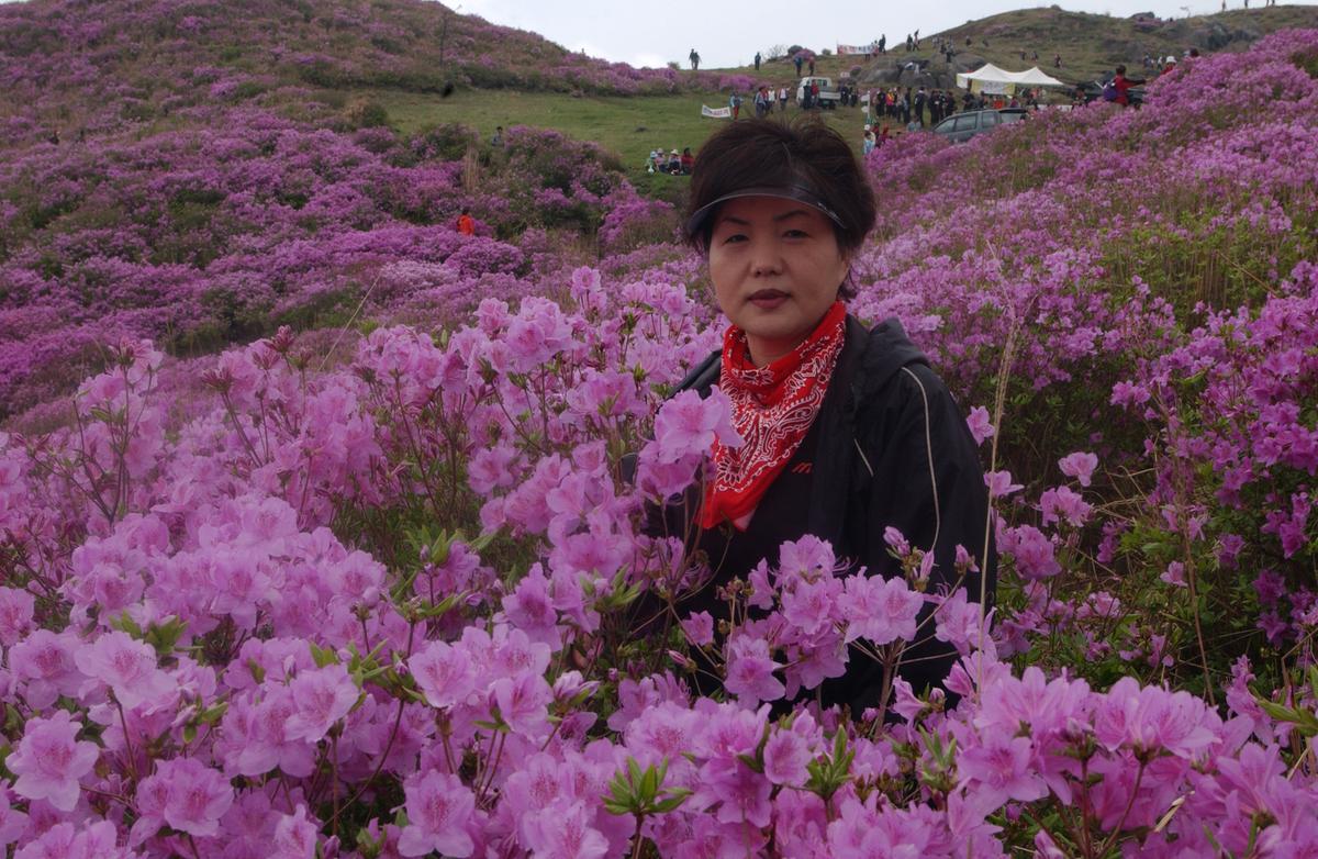 2005황매산철쭉 -3