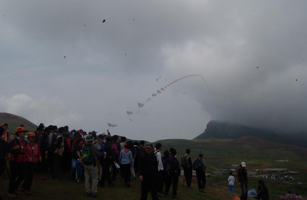 2005황매산철쭉 -3