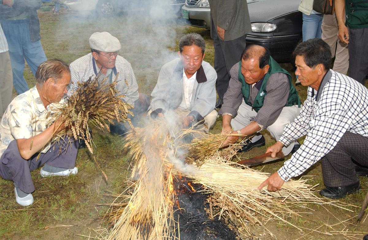 2004년 밀사랑 문화한마당(1)18