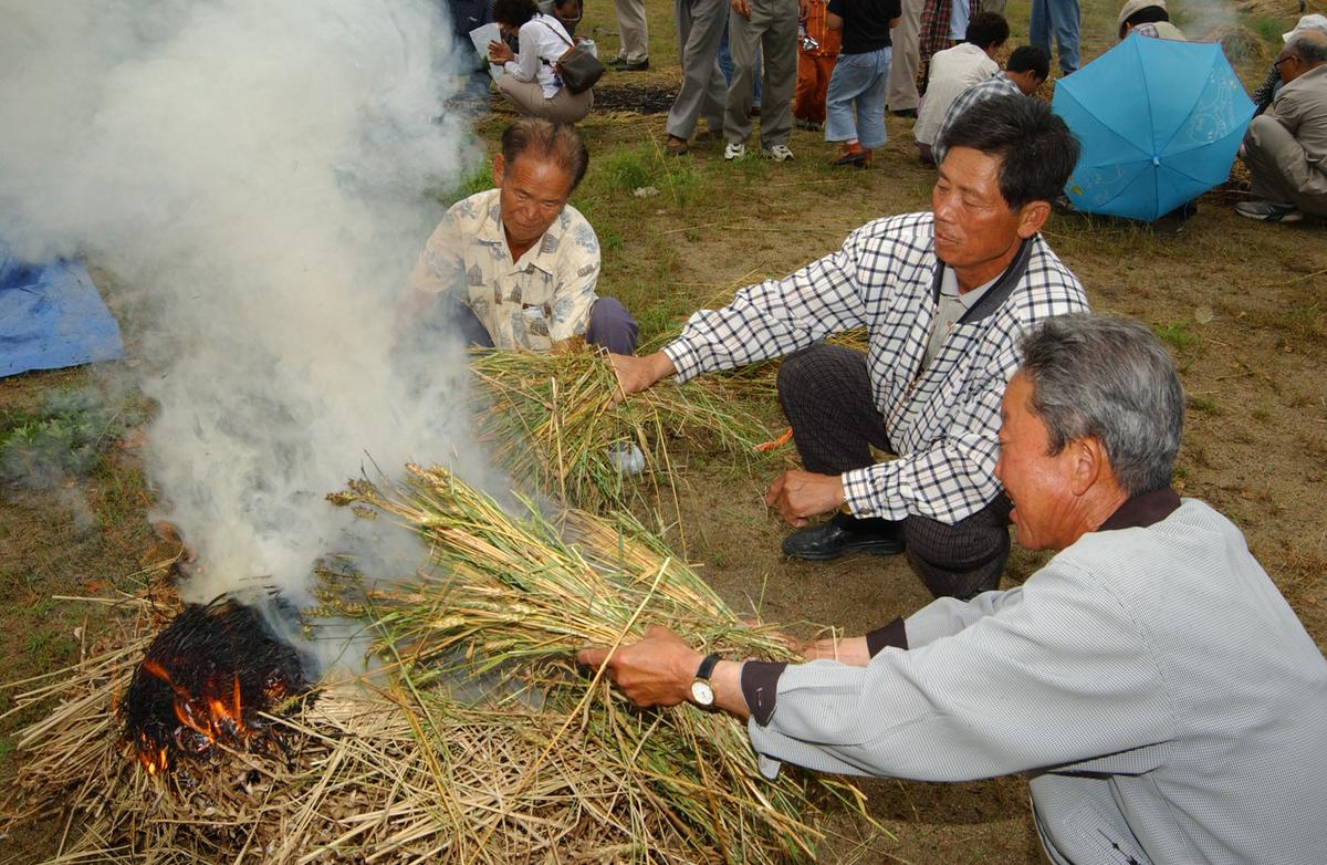 2004년 밀사랑 문화한마당(1)24