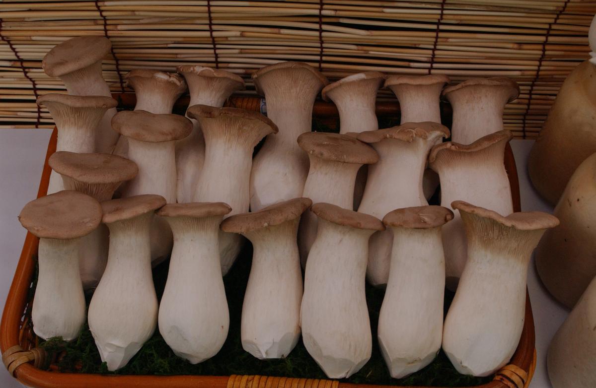 2005농산물엑스포-1