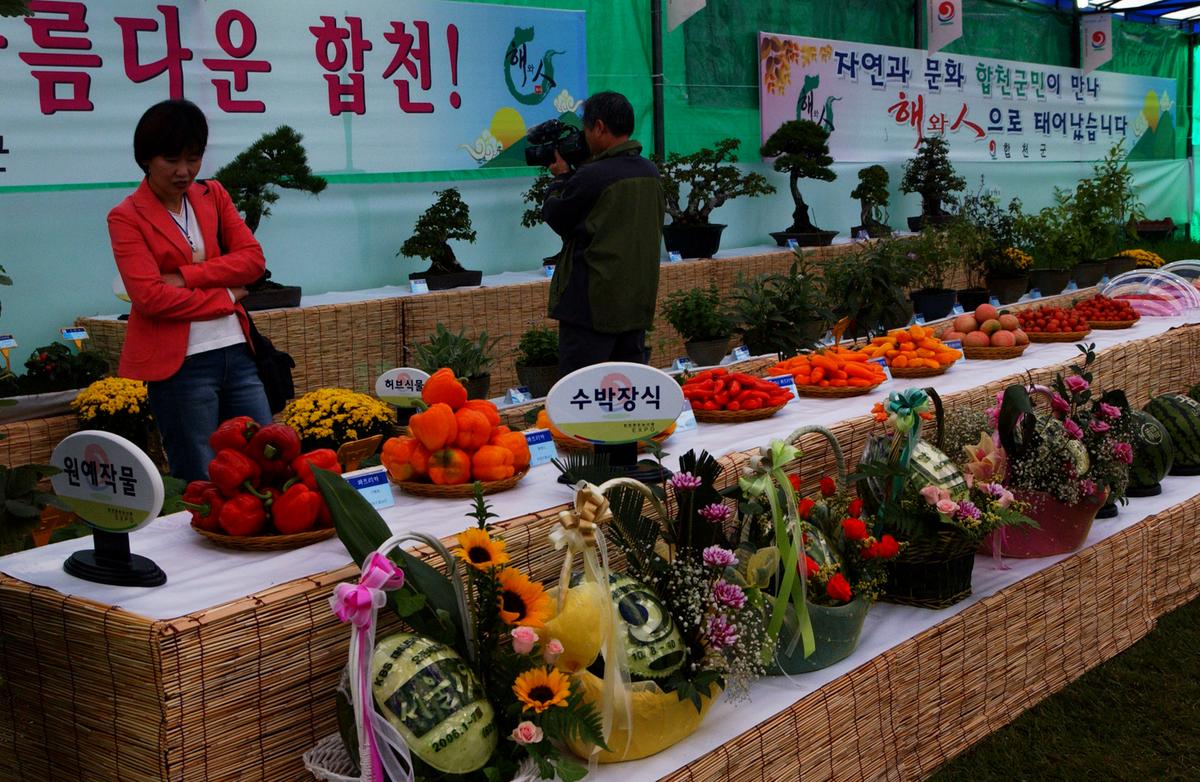 2005농산물엑스포-1