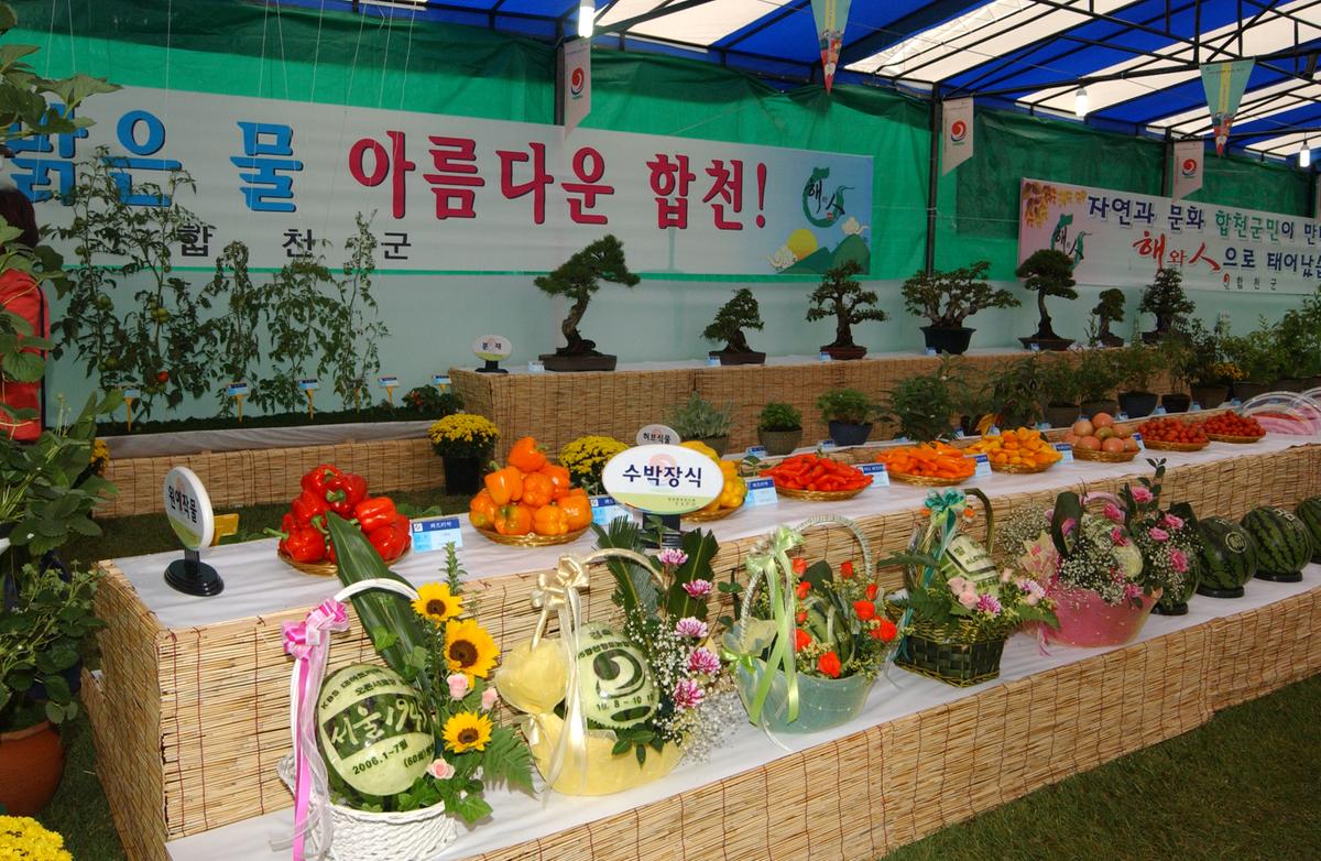 2005농산물엑스포-1