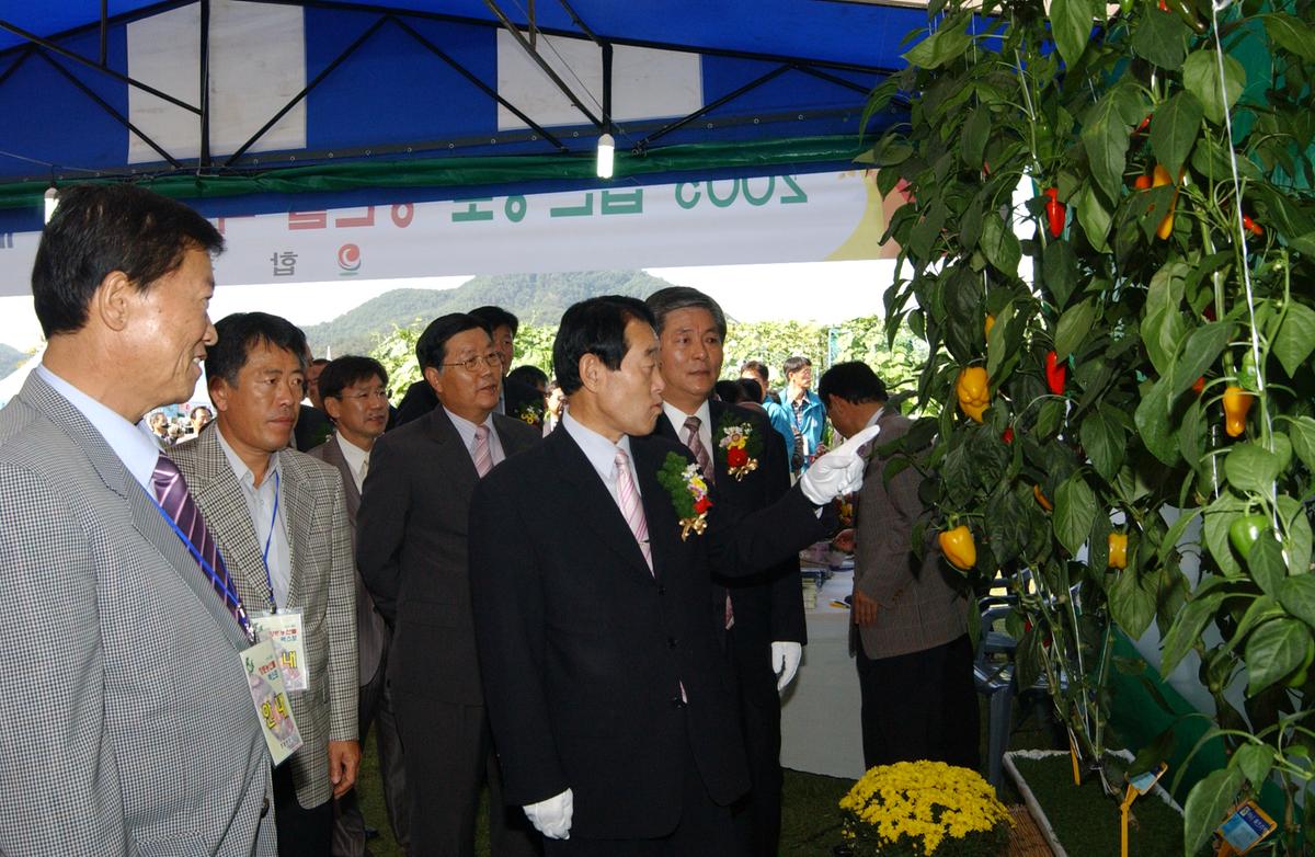 2005농산물엑스포-2