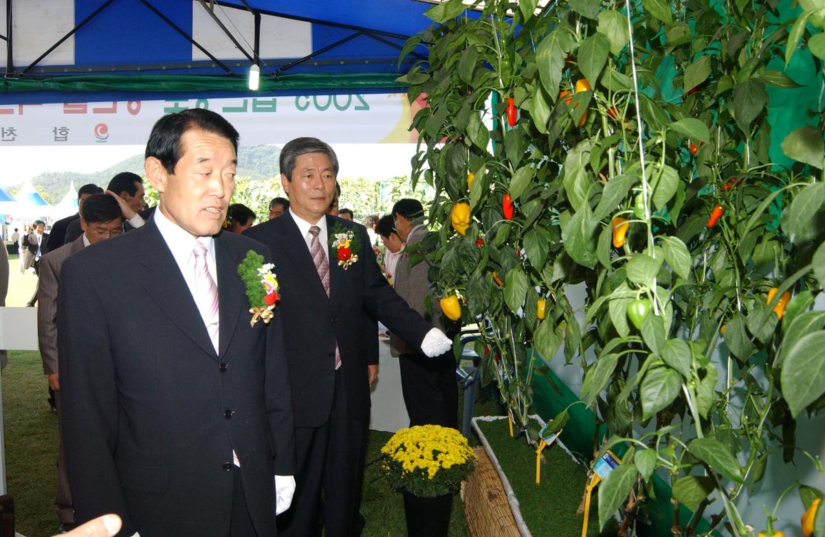 2005농산물엑스포-2
