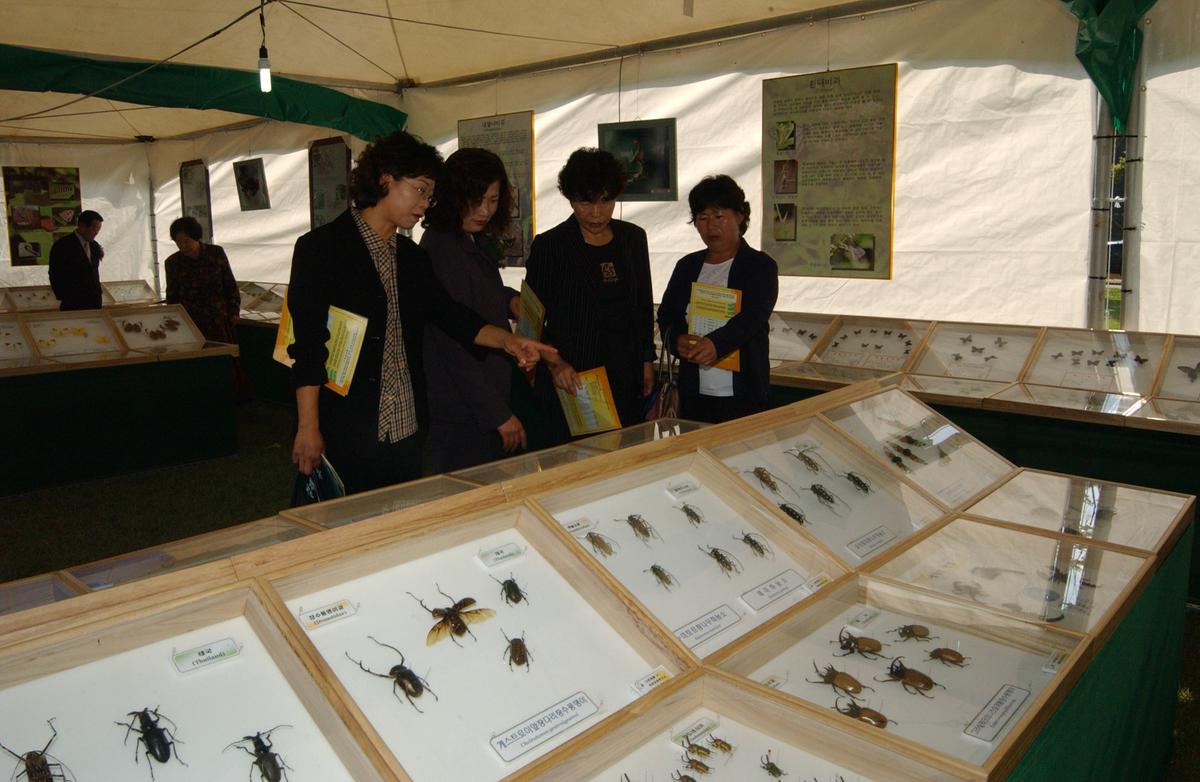 2005농산물엑스포-3