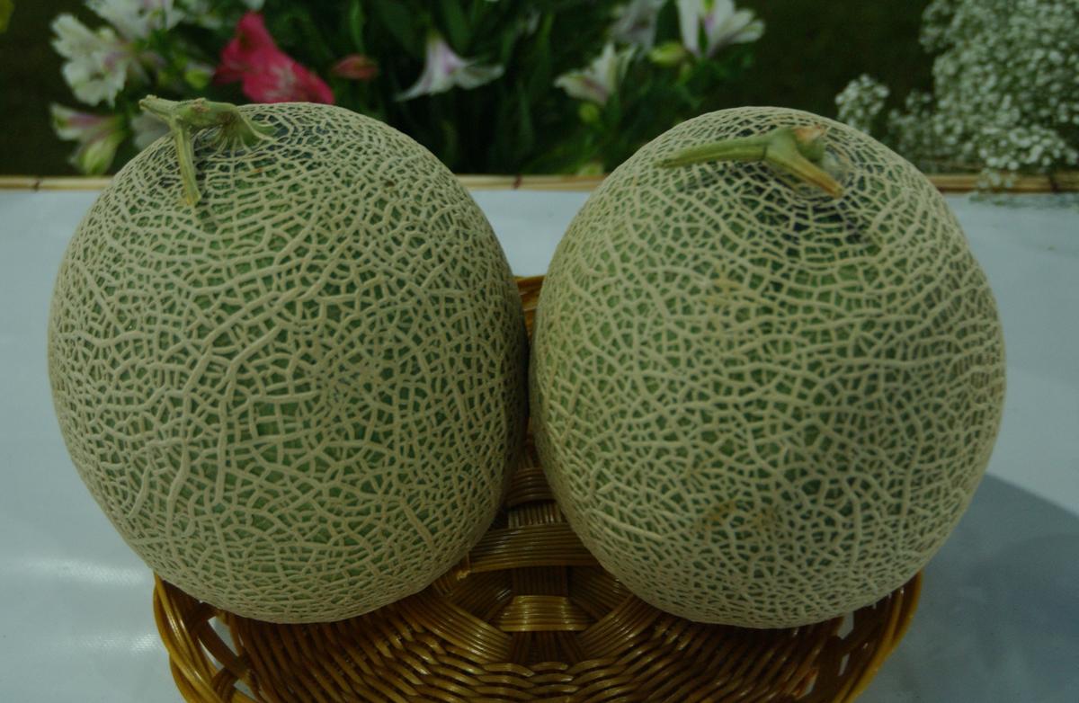 2005농산물엑스포-5