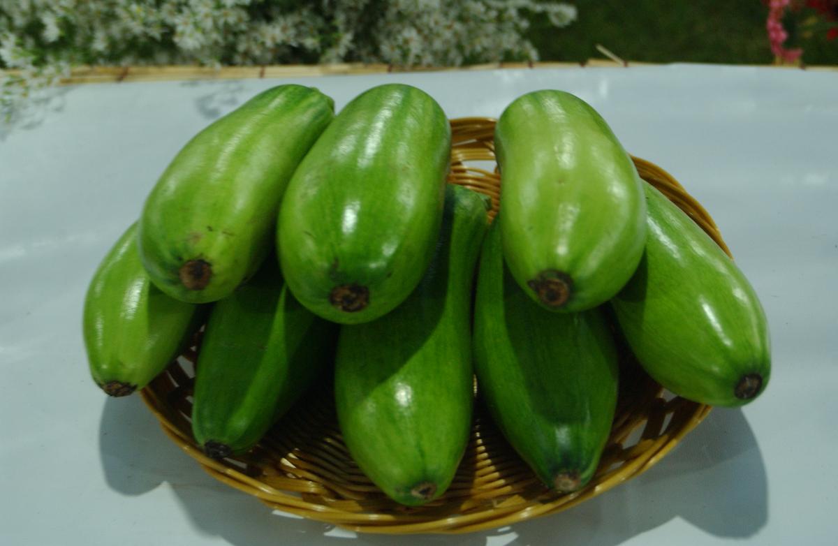2005농산물엑스포-5