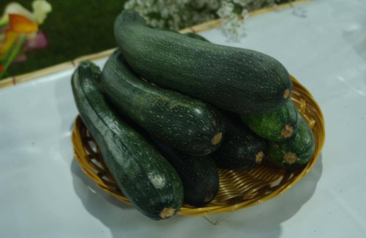2005농산물엑스포-5
