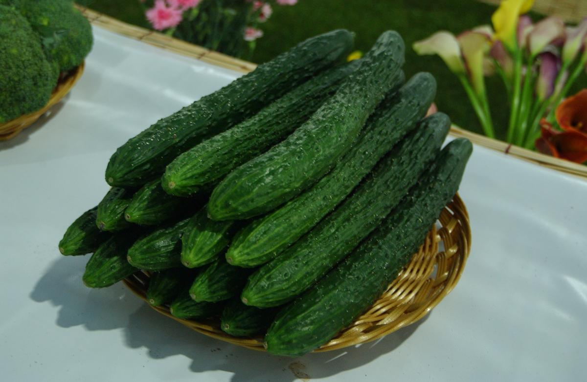 2005농산물엑스포-5