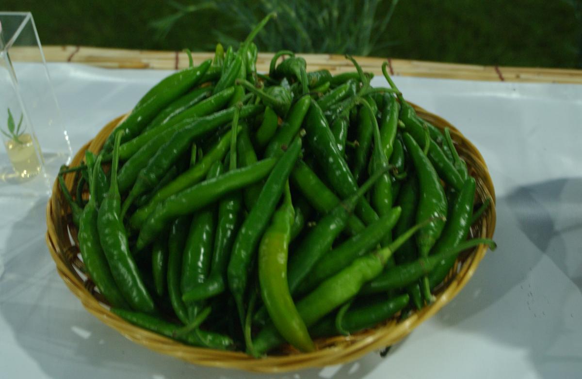 2005농산물엑스포-5