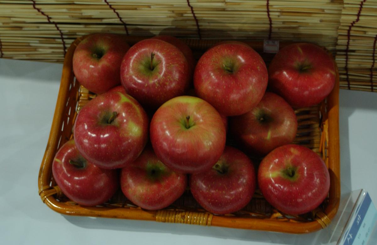 2005농산물엑스포-5