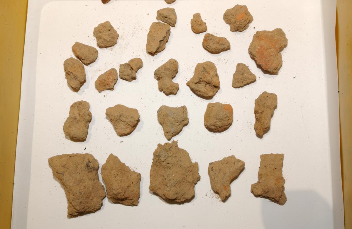 대야성지도위원회