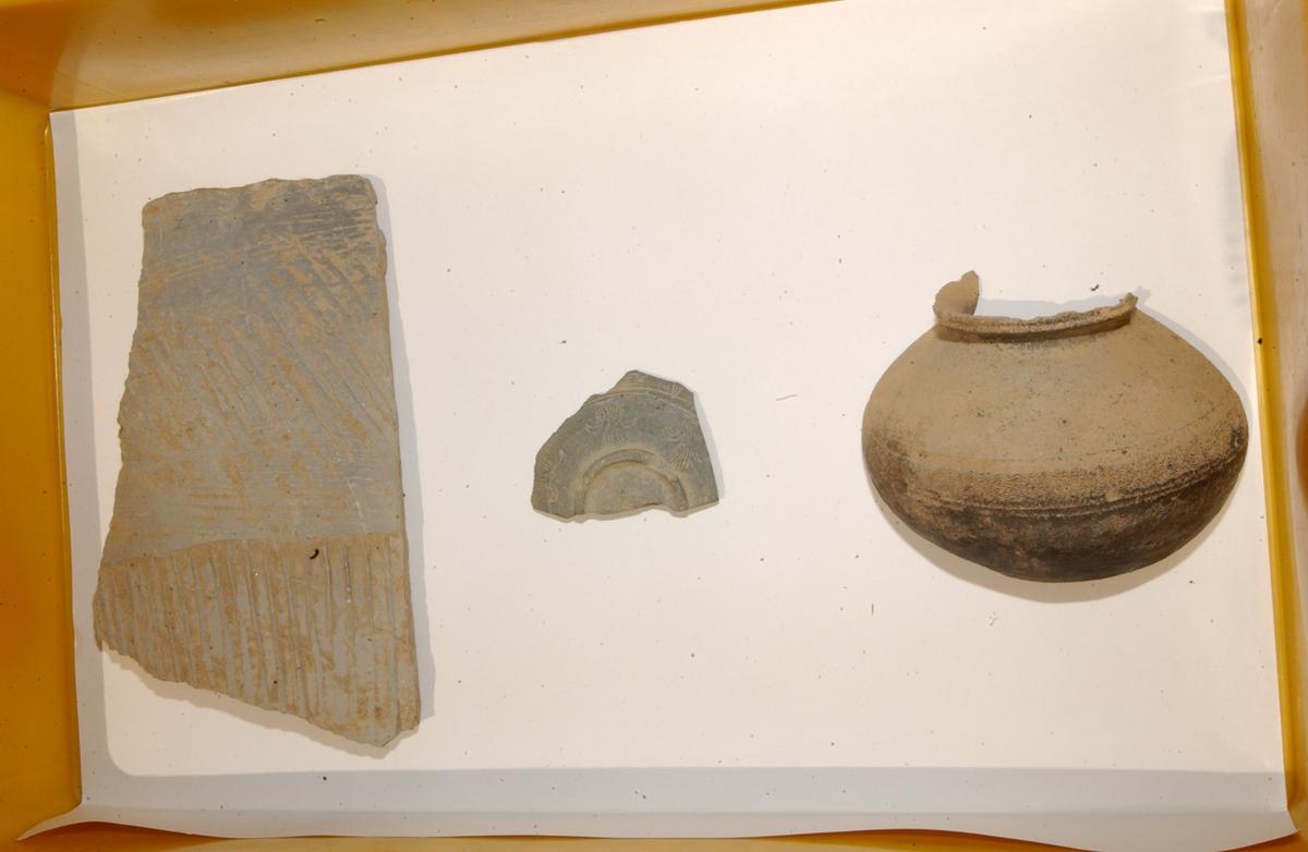 대야성지도위원회