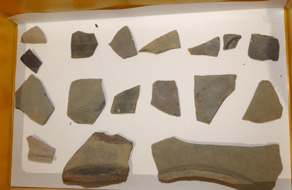 대야성지도위원회