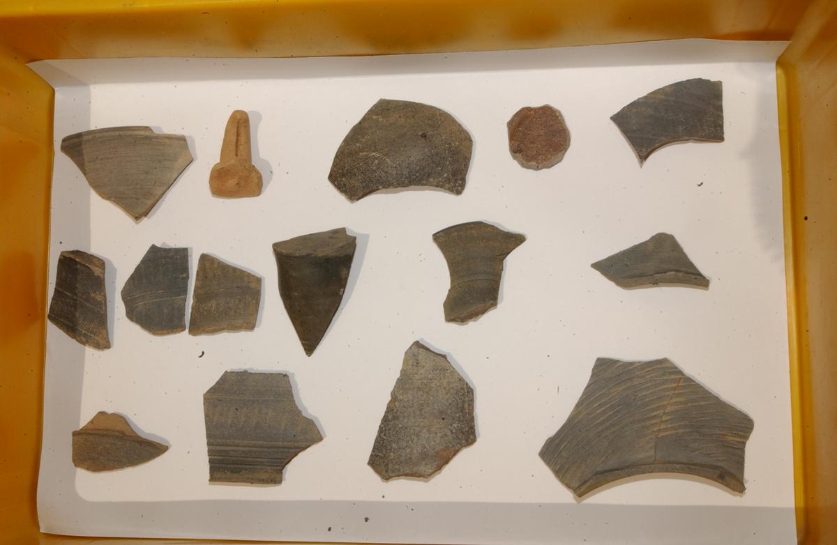 대야성지도위원회