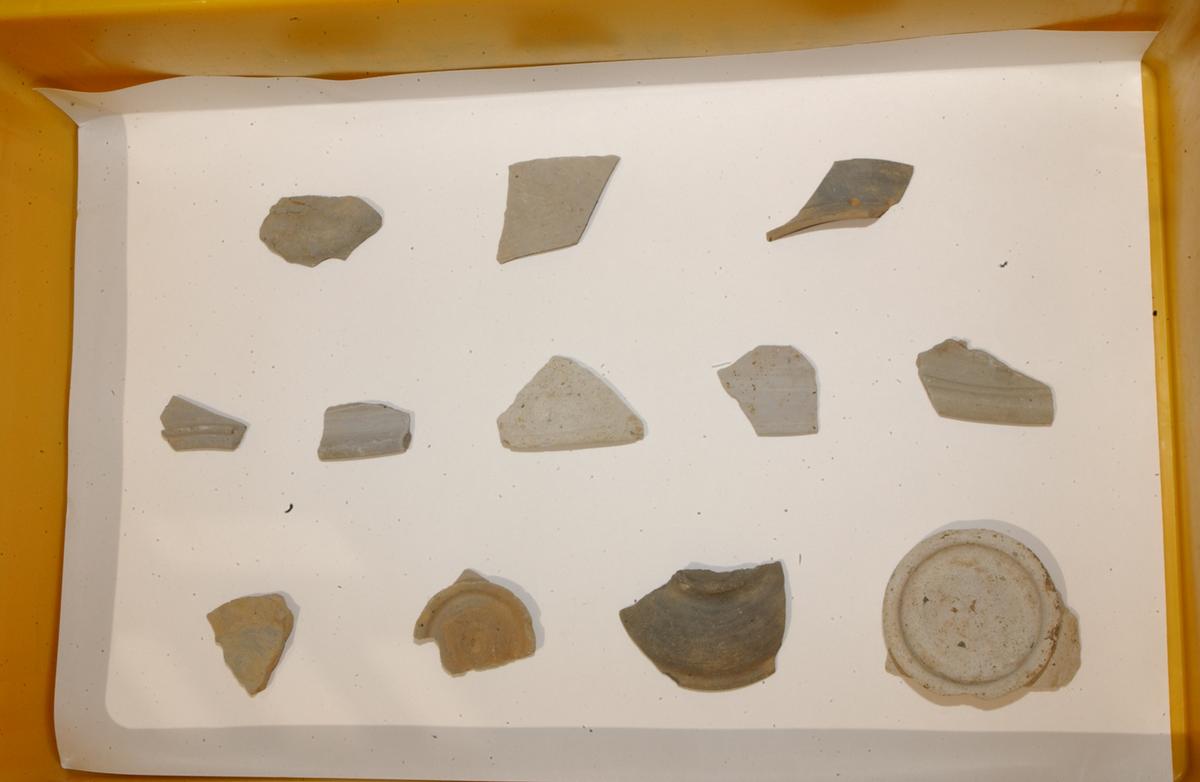 대야성지도위원회