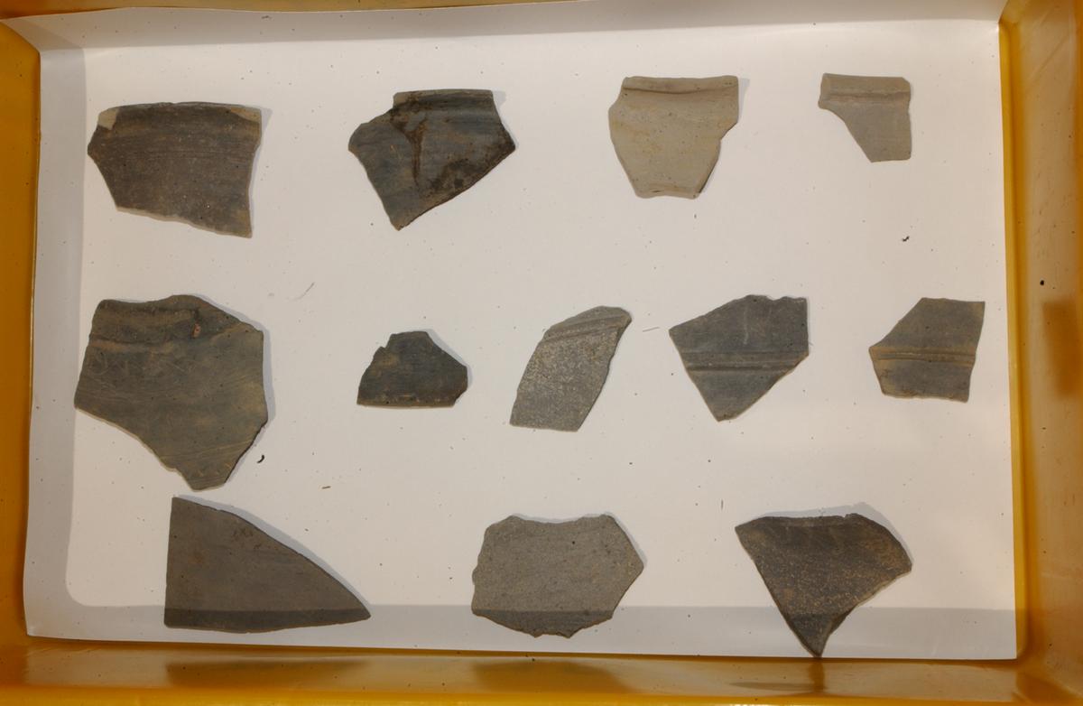 대야성지도위원회