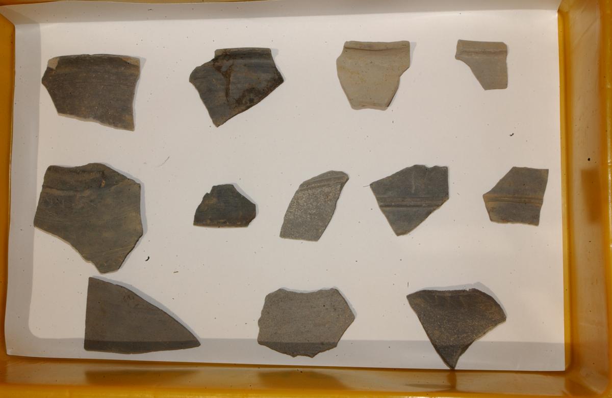 대야성지도위원회