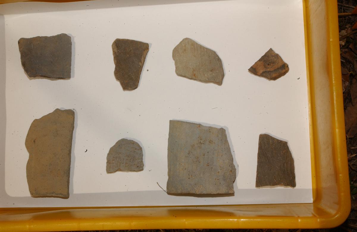 대야성지도위원회