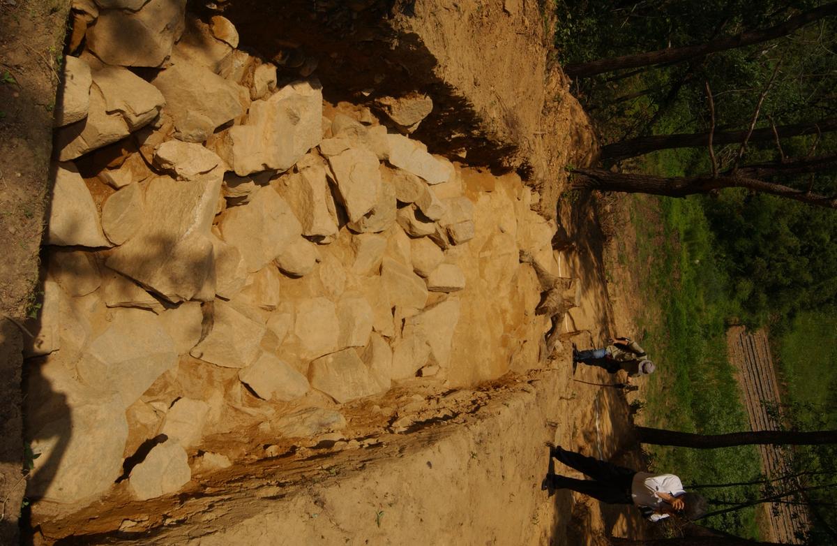 대야성지도위원회