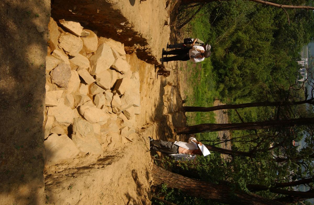 대야성지도위원회