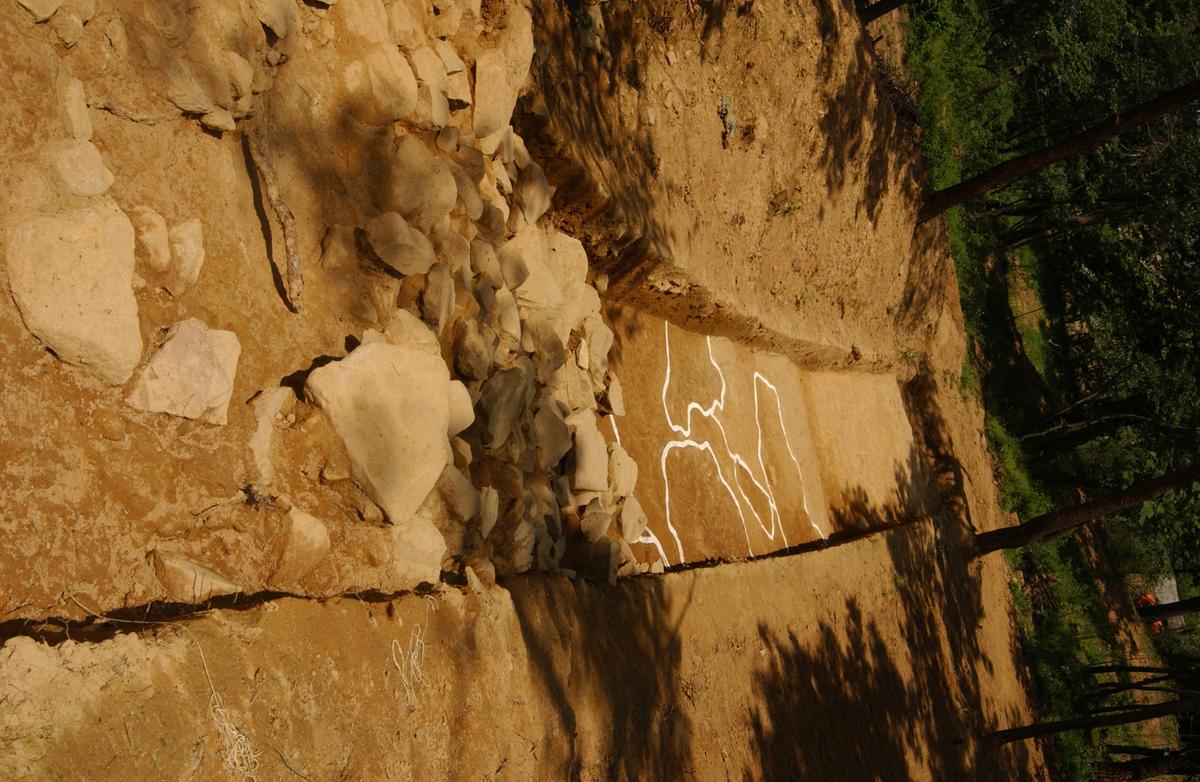 대야성지도위원회