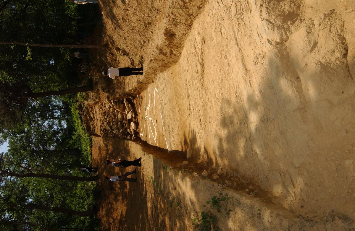 대야성지도위원회