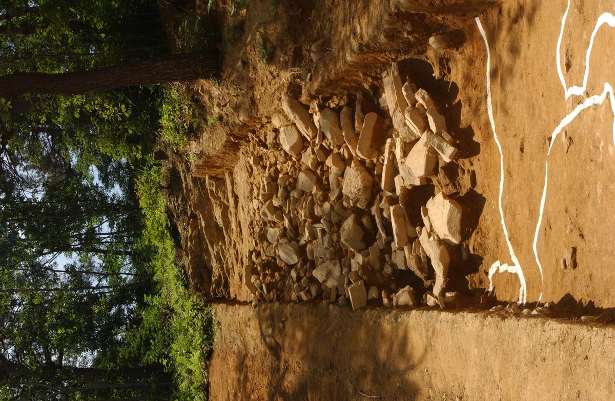 대야성지도위원회