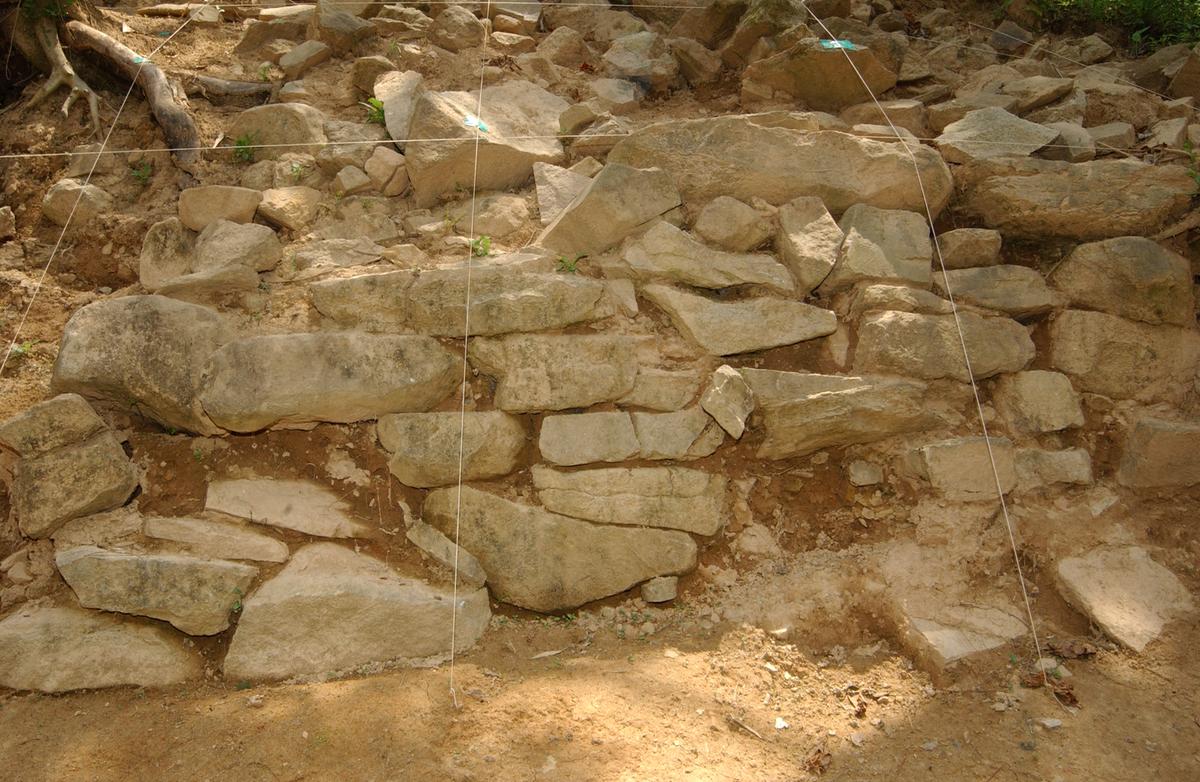 대야성지도위원회