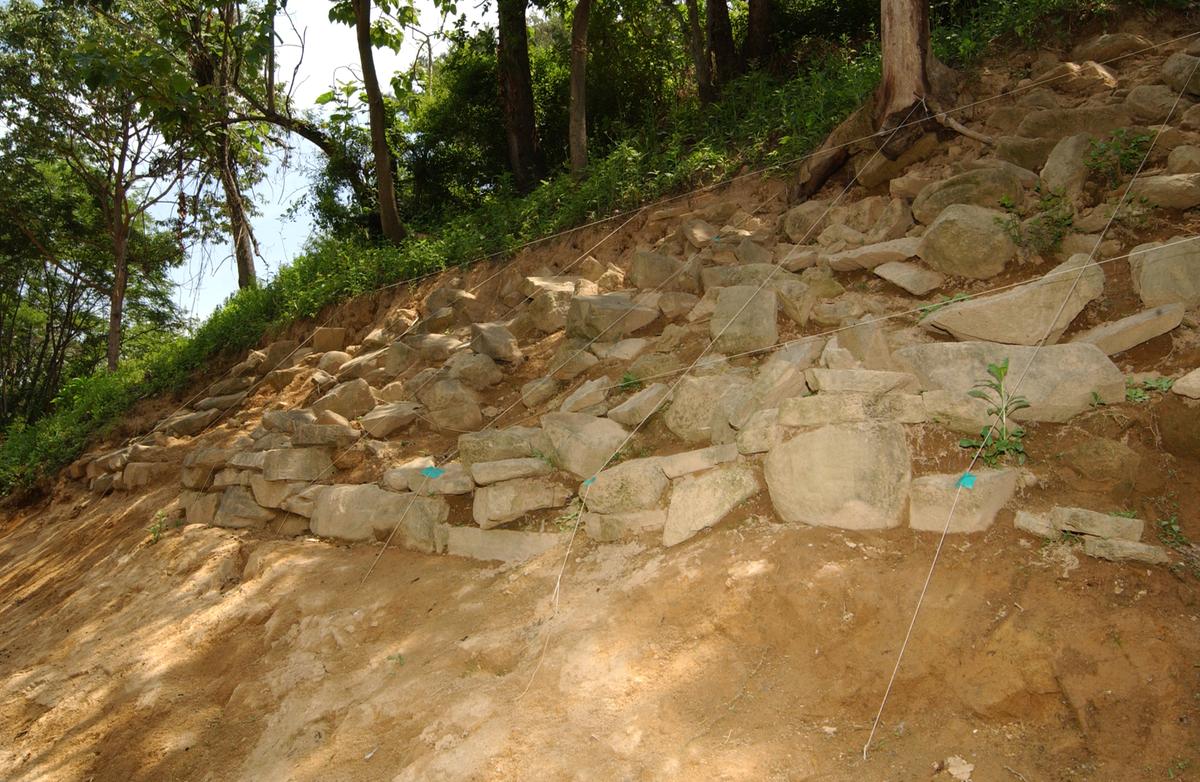 대야성지도위원회