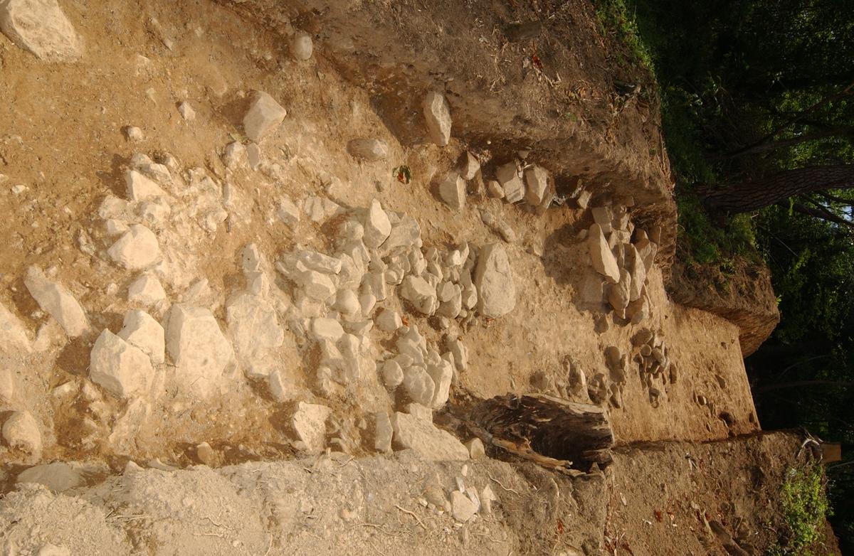 대야성지도위원회