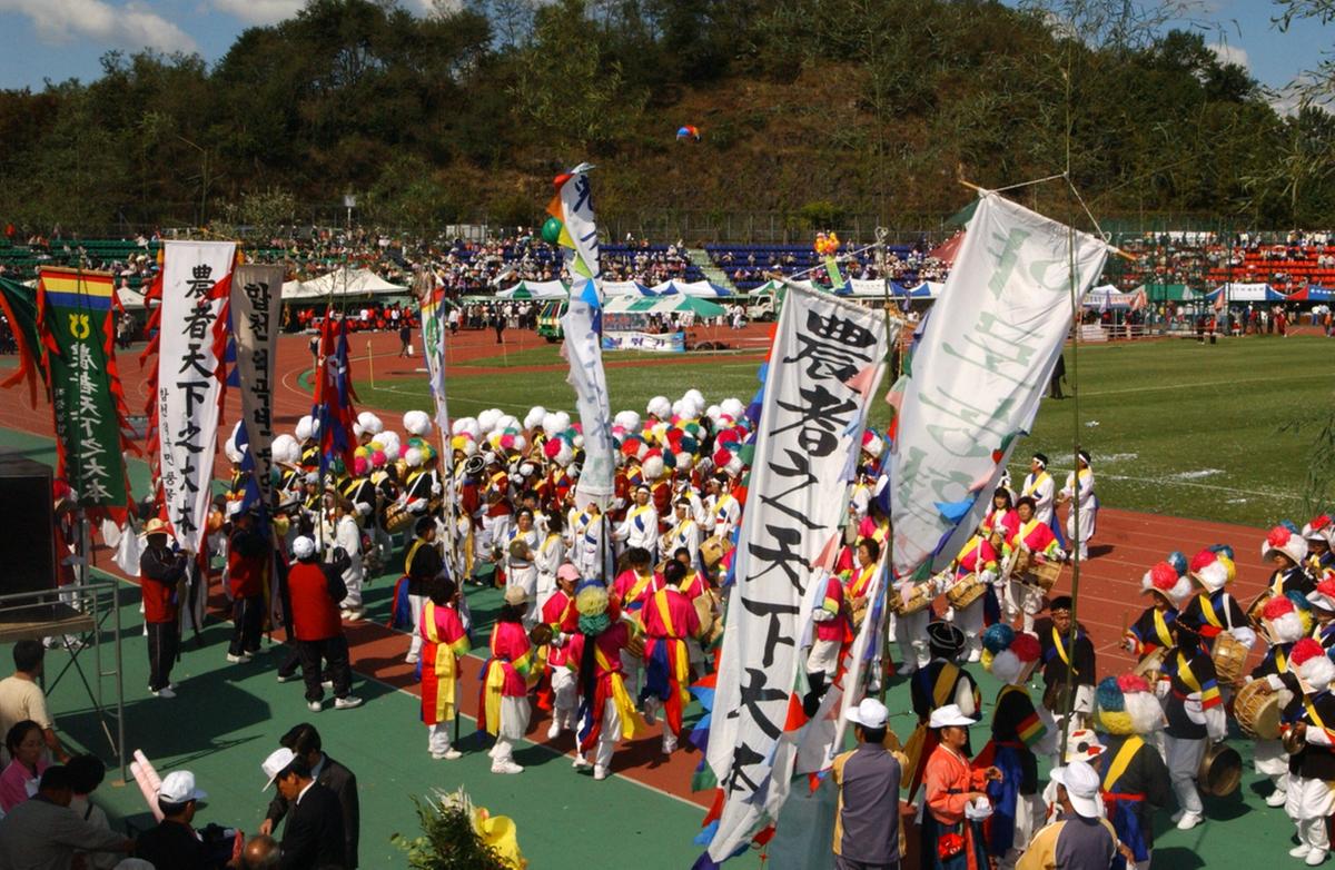 대야문화제농약