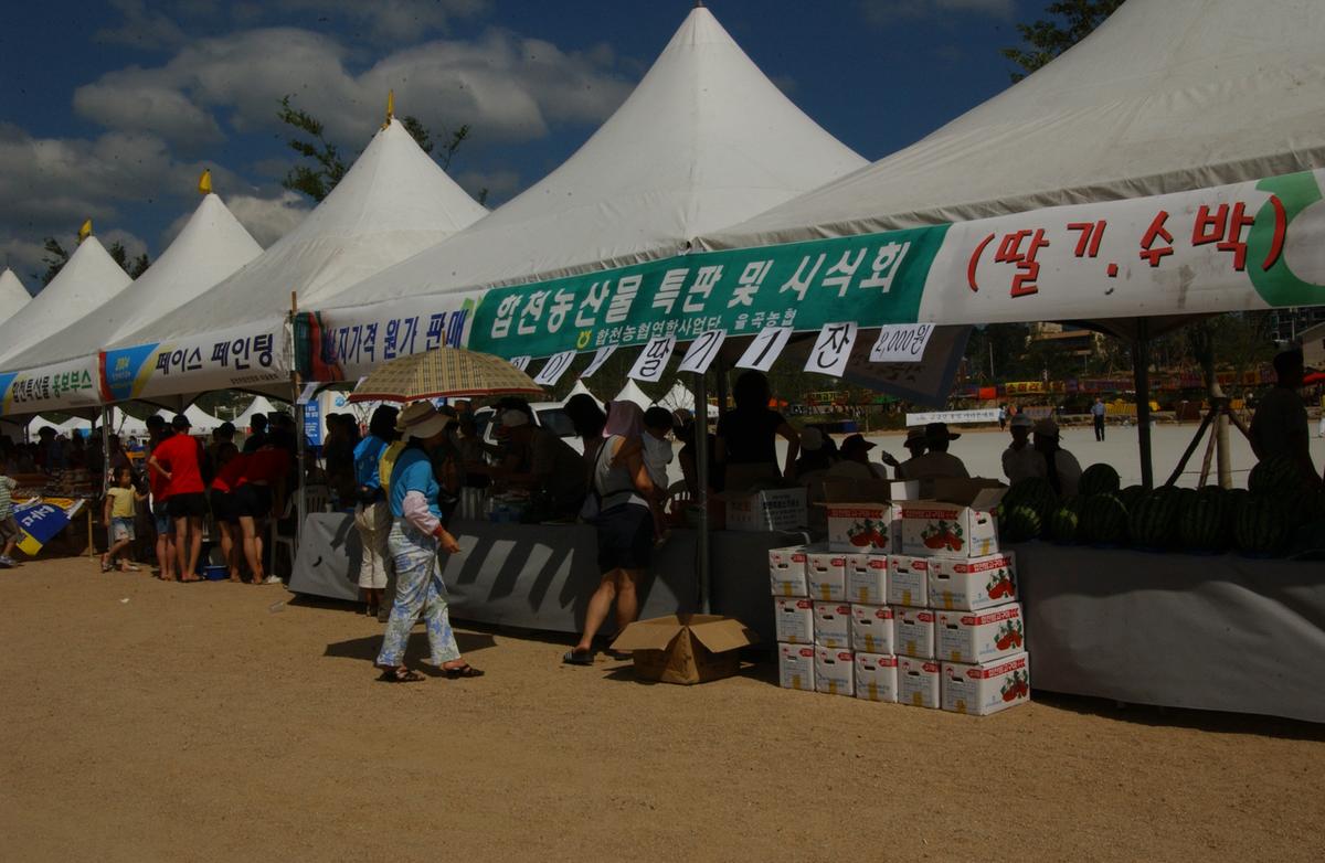 수중마라톤대회