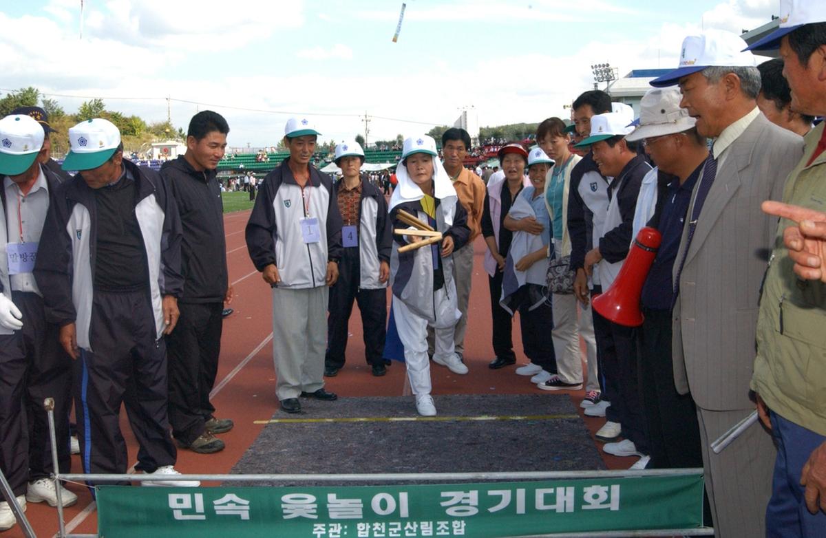 대야문화제윳놀이